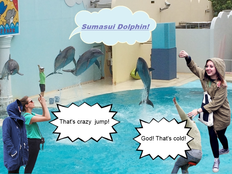 須磨海浜水族園,イルカ